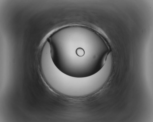 X0000086221504200704191727