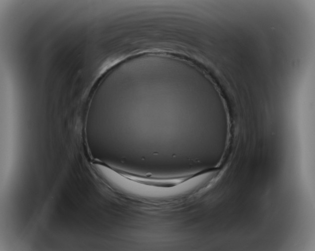 X0000086221505200704191727