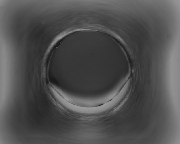 X0000086221506200704191727