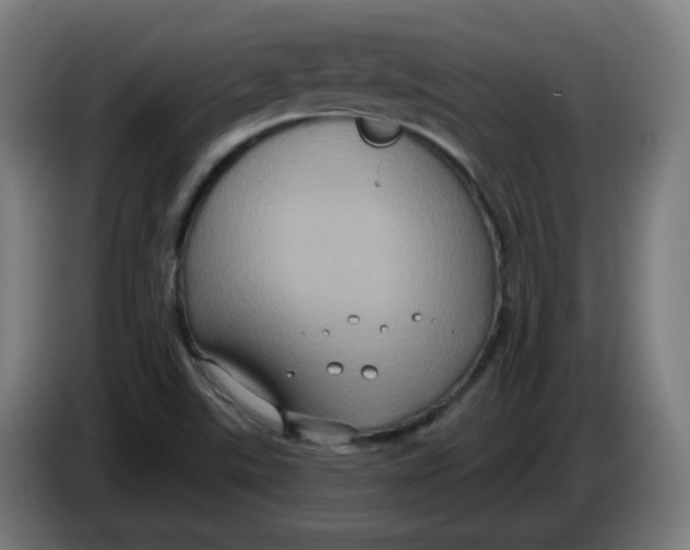 X0000086221507200704191727