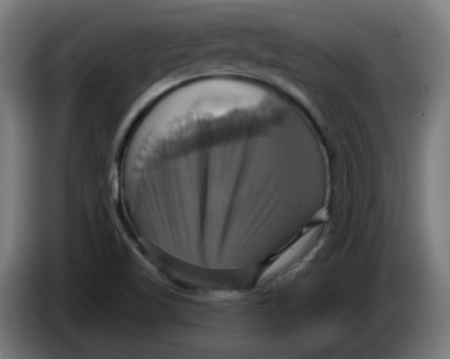 X0000086221509200704191727