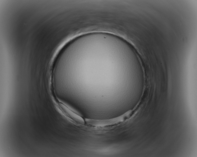 X0000086221511200704191727