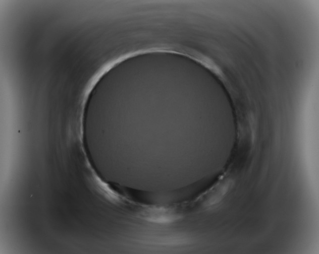 X0000086221512200704191727