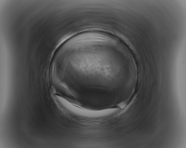 X0000086221513200704191727