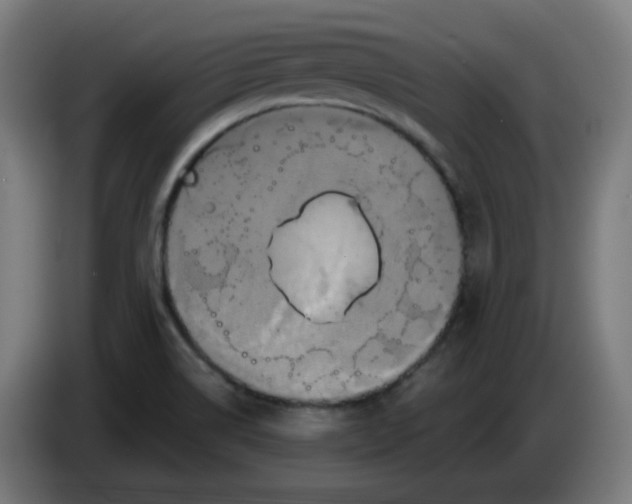 X0000086221514200704191727