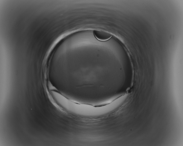 X0000086221515200704191727