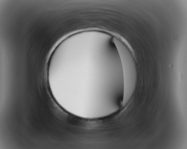 X0000086221516200704191727