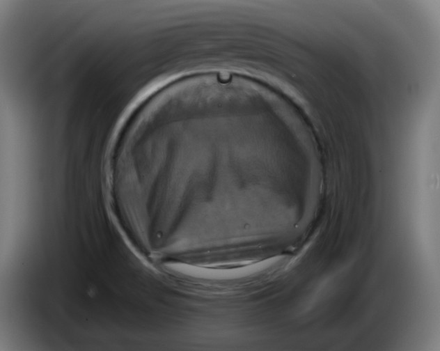 X0000086221517200704191727