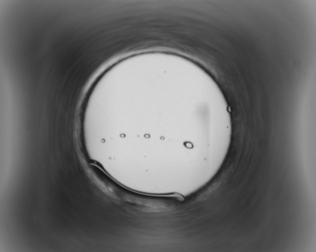 X0000086221518200704191727