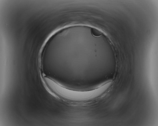 X0000086221519200704191727