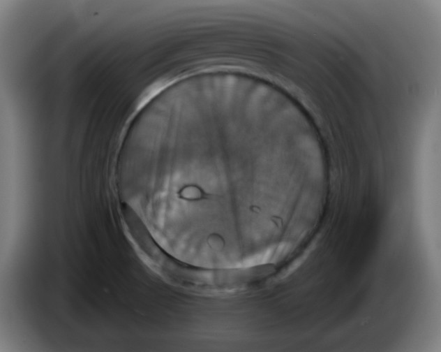 X0000086221521200704191727