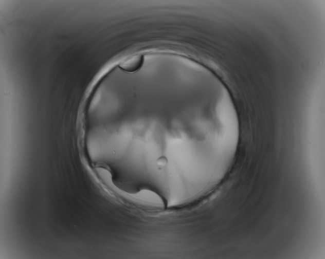 X0000086221522200704191727