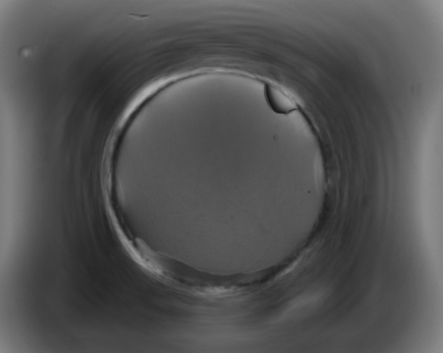 X0000086221523200704191728