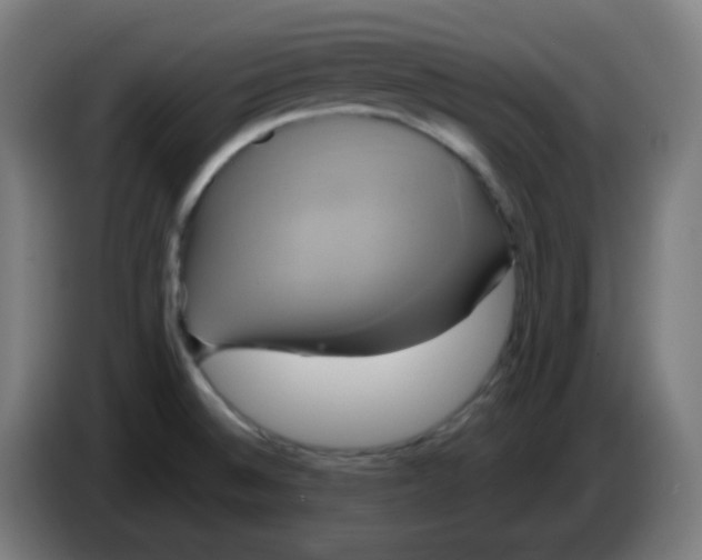 X0000086221524200704191728