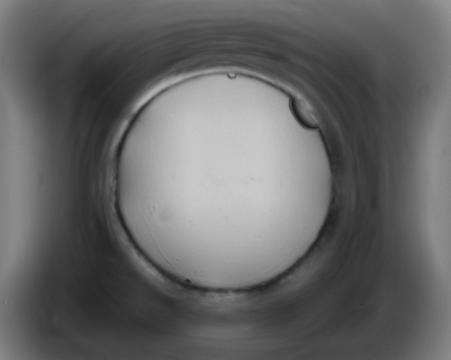 X0000086221526200704191728