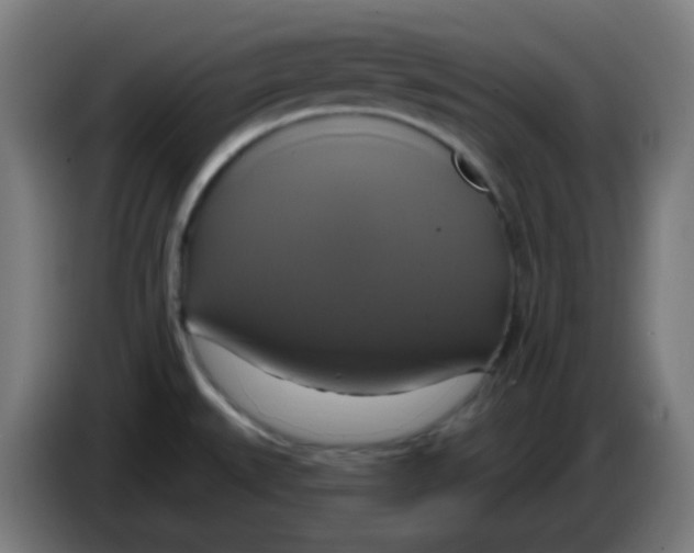 X0000086221527200704191728