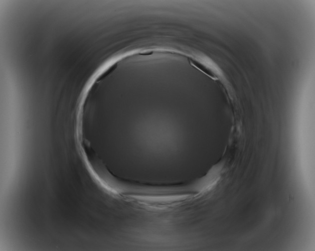 X0000086221528200704191728