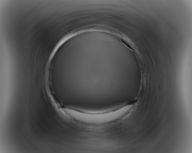 X0000086221530200704191728