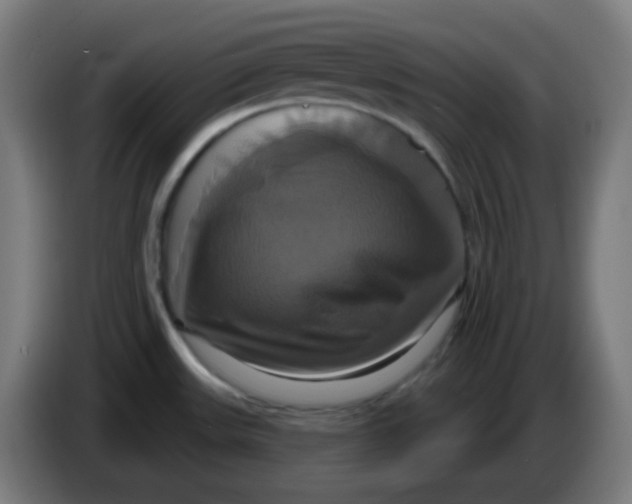 X0000086221531200704191728