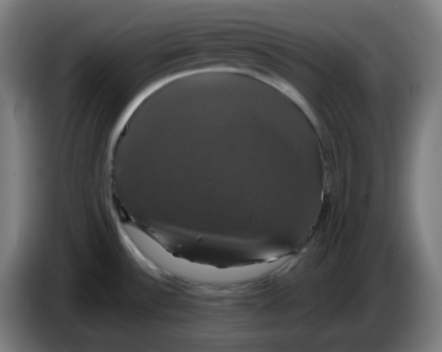 X0000086221532200704191728