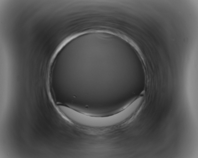 X0000086221533200704191728