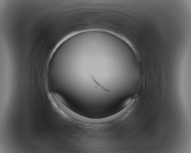 X0000086221534200704191728