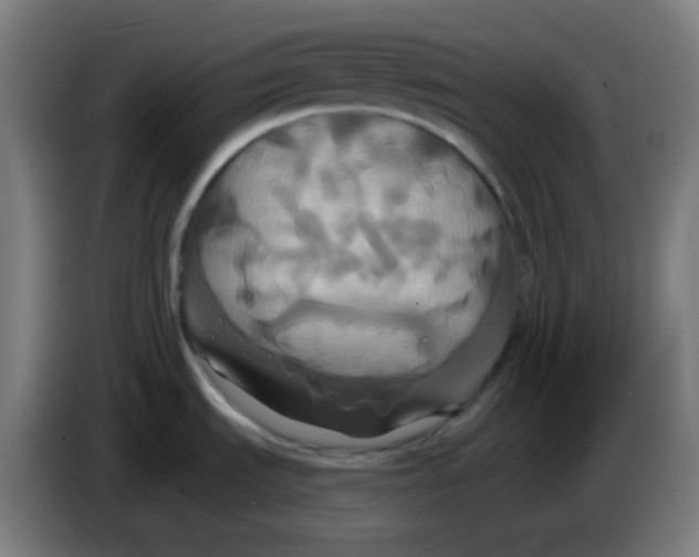 X0000086221535200704191728