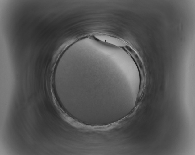 X0000086220001200704261845