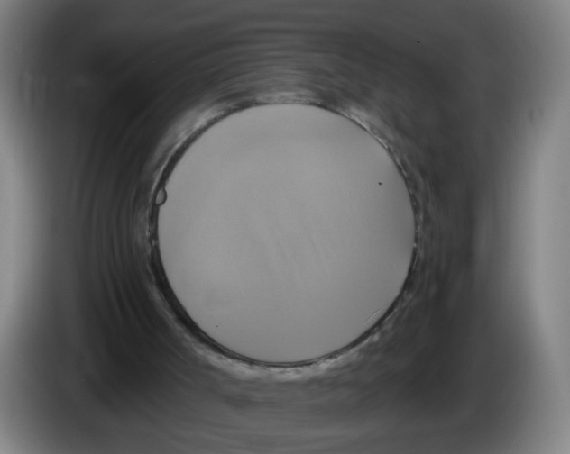 X0000086220002200704261845