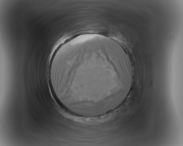 X0000086220003200704261845