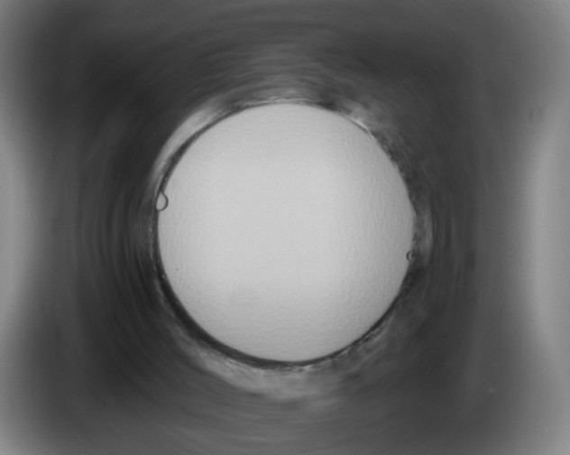 X0000086220004200704261845