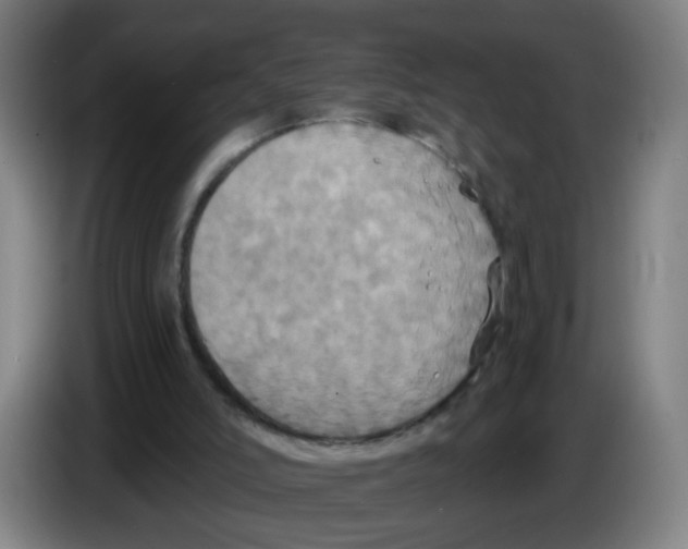 X0000086220006200704261845