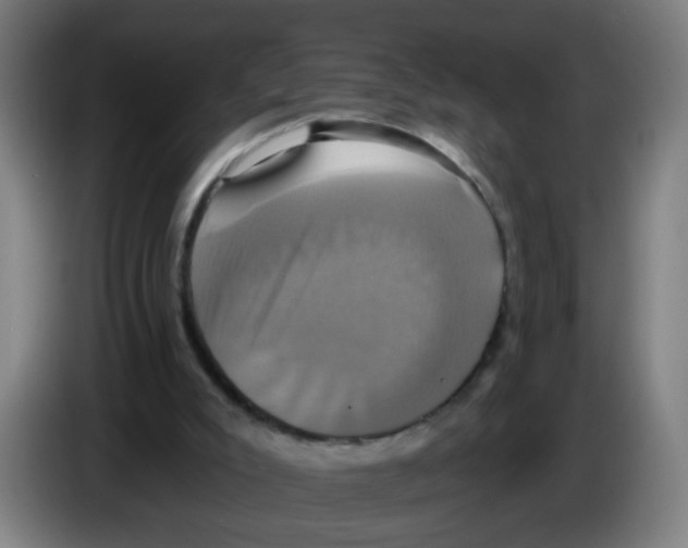 X0000086220007200704261845