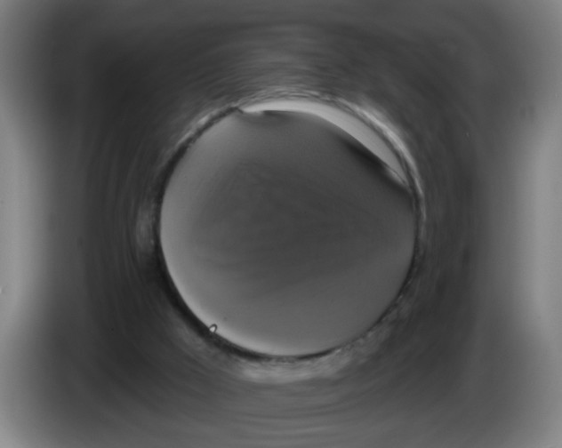 X0000086220009200704261845