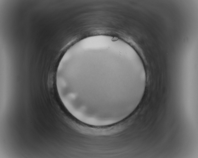 X0000086220010200704261845