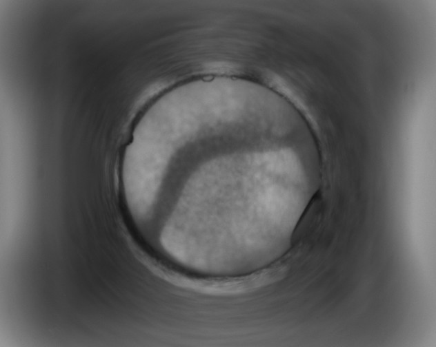 X0000086220011200704261845