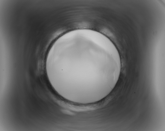 X0000086220012200704261845