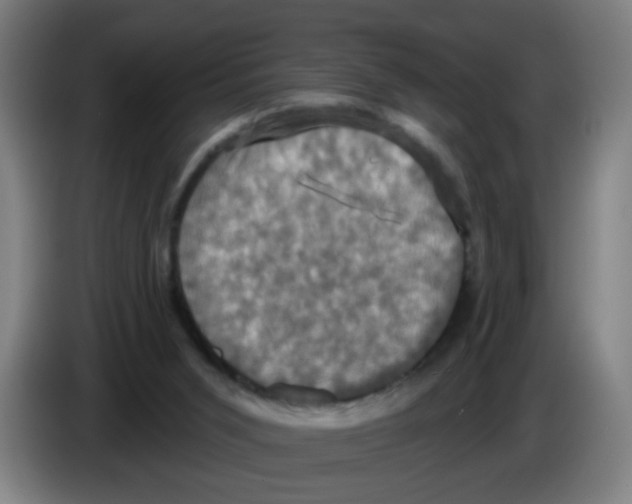 X0000086220015200704261845