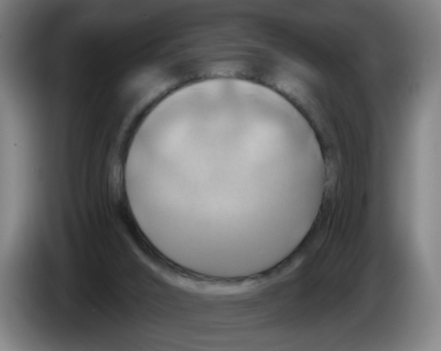 X0000086220016200704261845