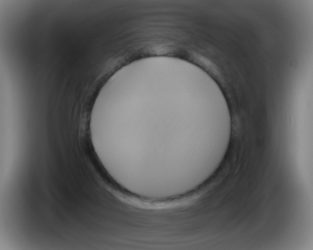 X0000086220018200704261845