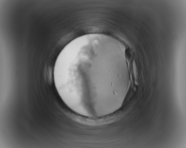 X0000086220022200704261845