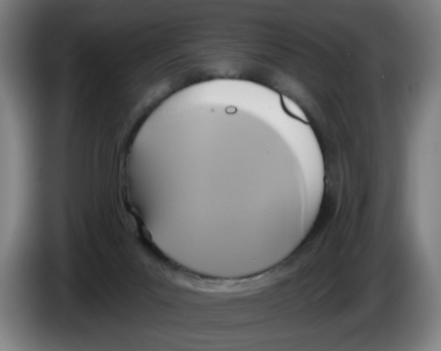 X0000086220023200704261845