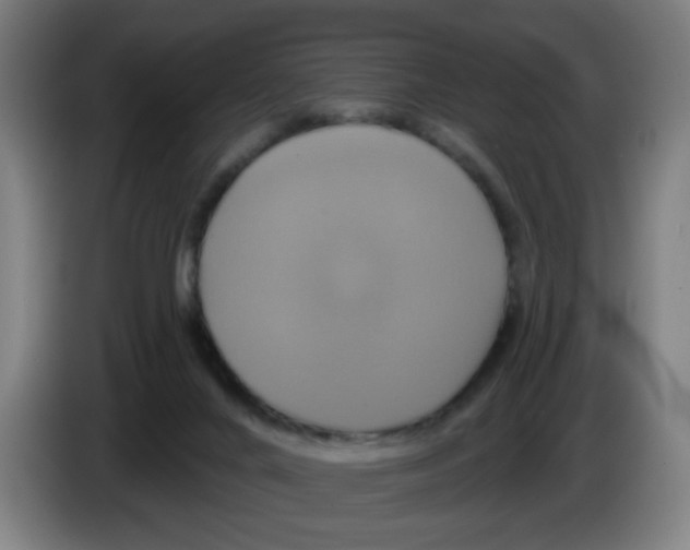 X0000086220024200704261845