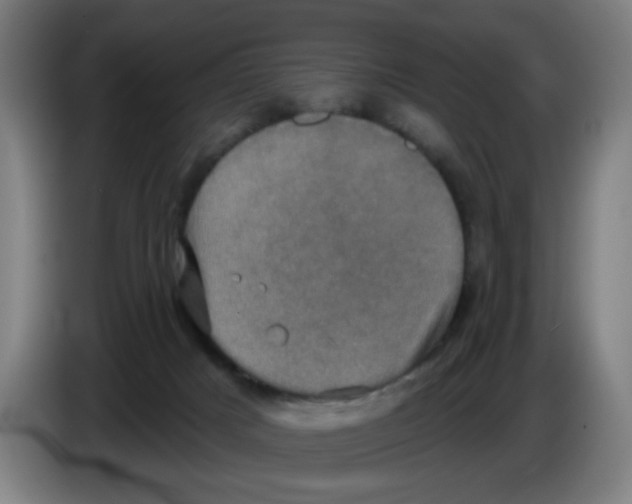 X0000086220025200704261845