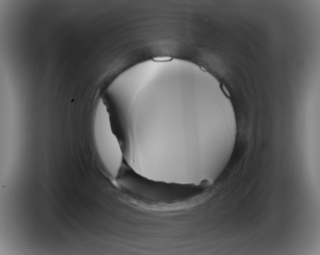 X0000086220027200704261845