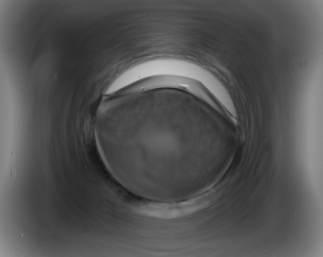 X0000086220029200704261845