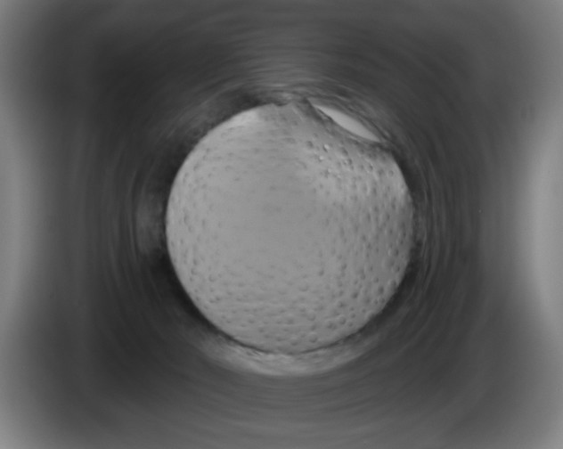 X0000086220030200704261845