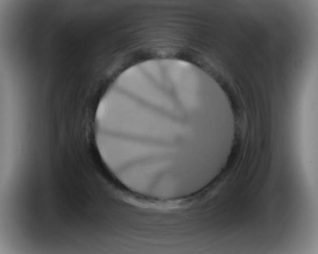 X0000086220032200704261845