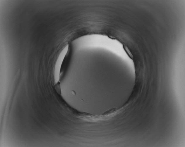 X0000086220033200704261845