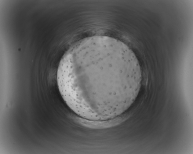 X0000086220034200704261845